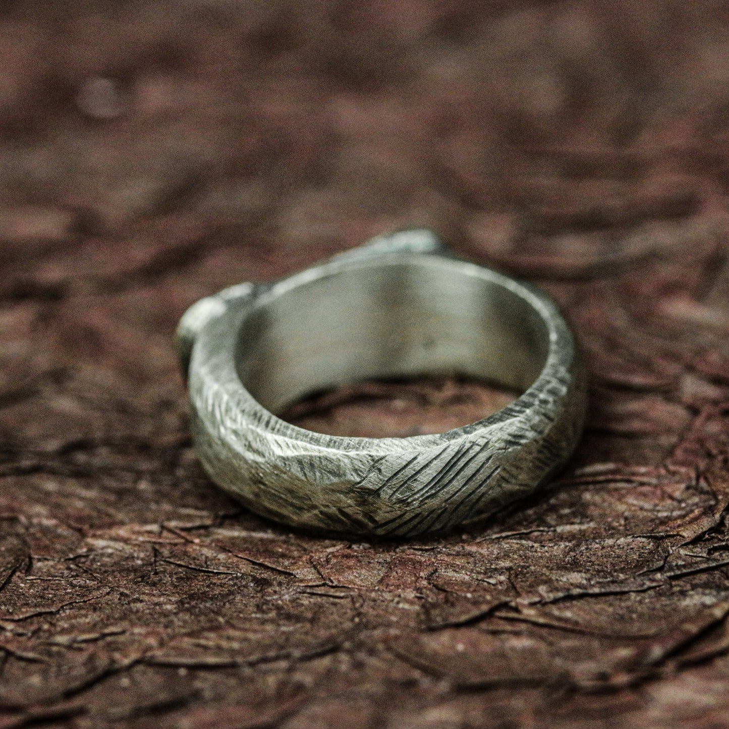 Handcrafted Silver Raw Earth Ring