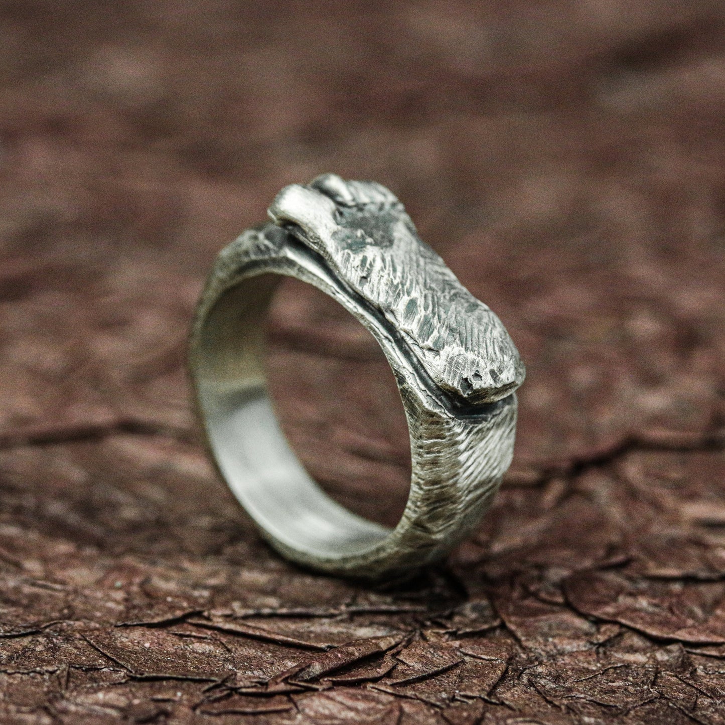 Handcrafted Silver Raw Earth Ring