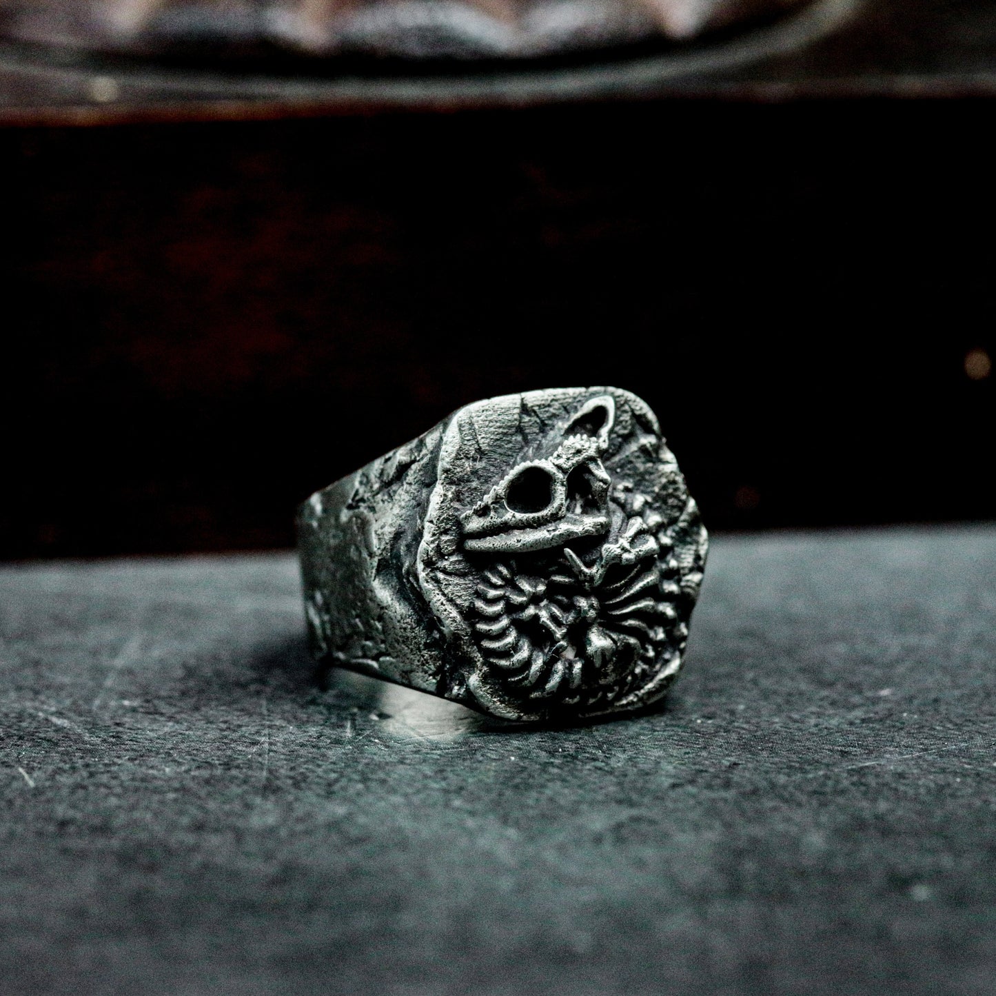Chameleon Fossil Ring with Cracked Stone Texture ¨C 925 Sterling Silver Handmade