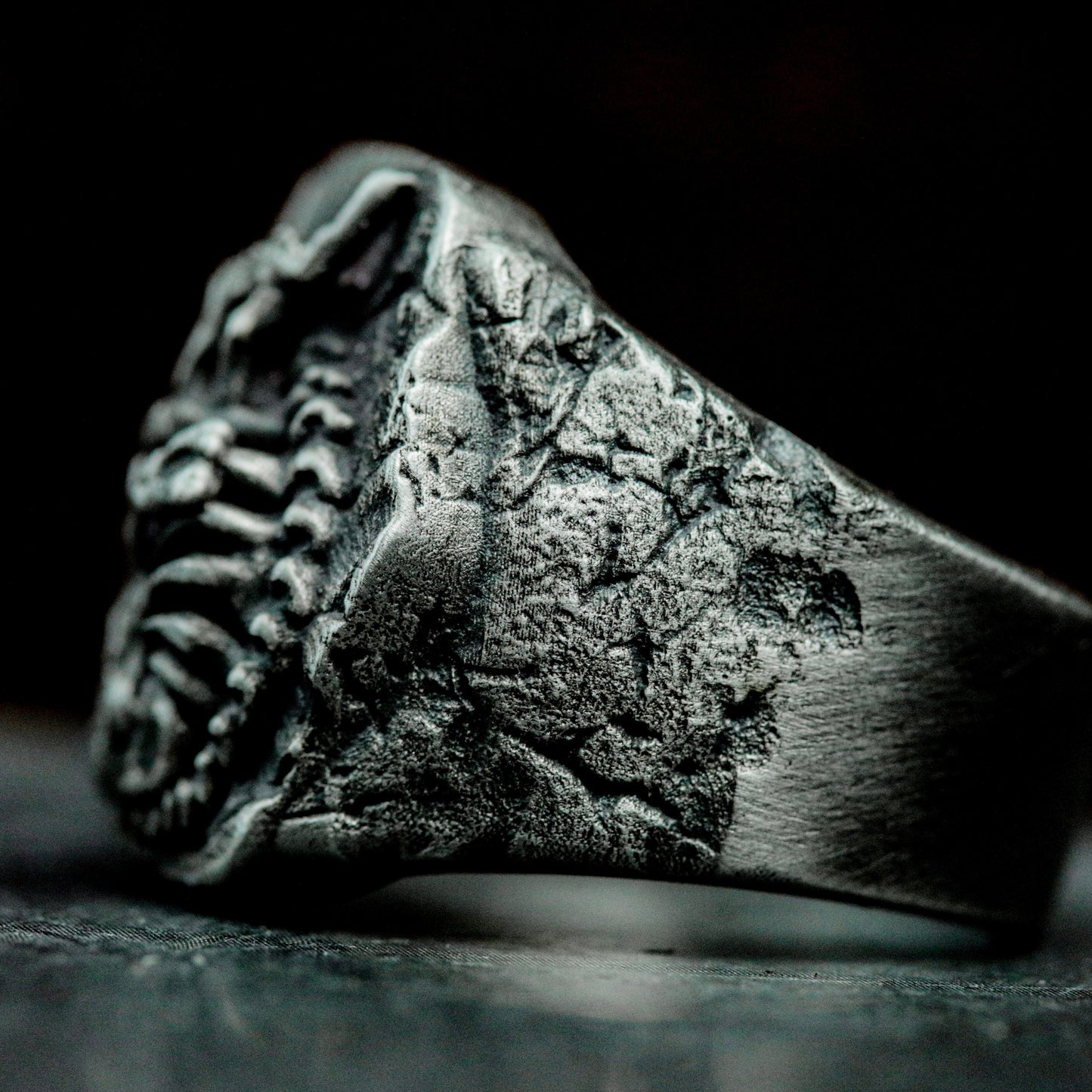 Chameleon Fossil Ring with Cracked Stone Texture ¨C 925 Sterling Silver Handmade