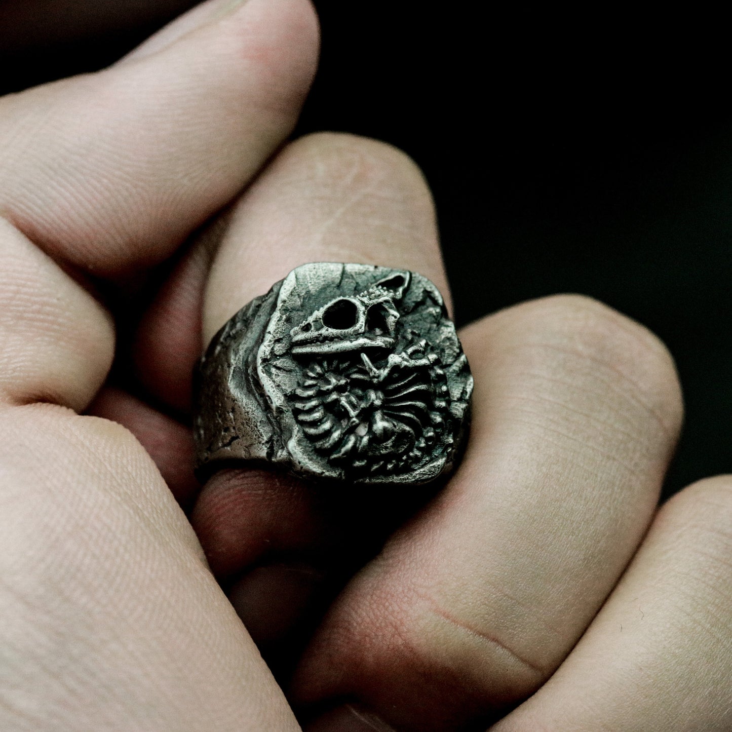 Chameleon Fossil Ring with Cracked Stone Texture ¨C 925 Sterling Silver Handmade