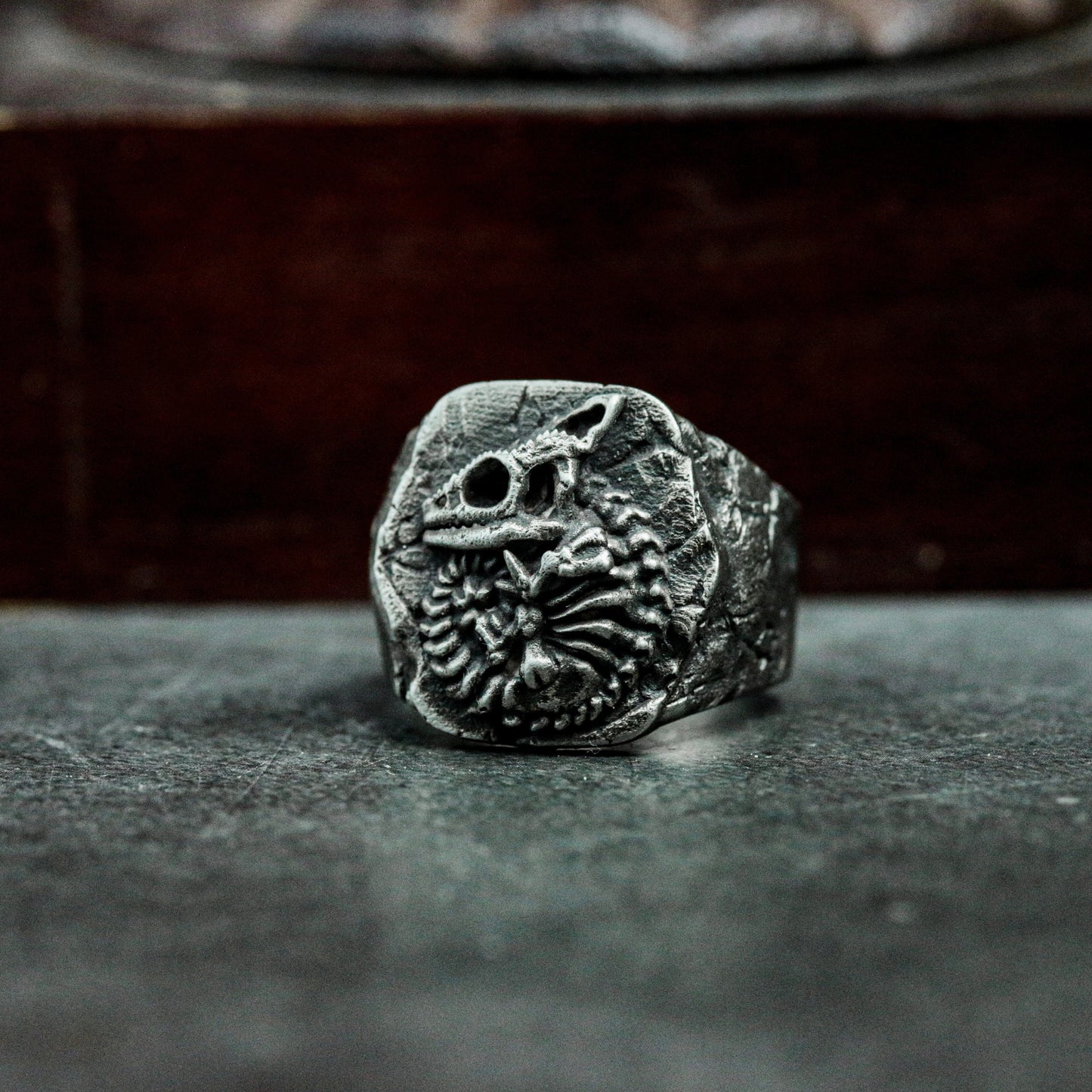 Chameleon Fossil Ring with Cracked Stone Texture ¨C 925 Sterling Silver Handmade