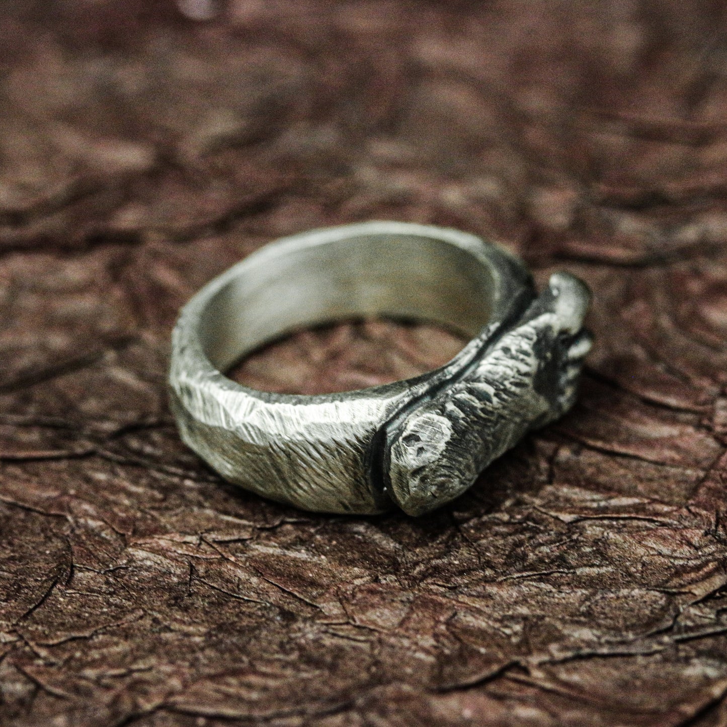 Handcrafted Silver Raw Earth Ring