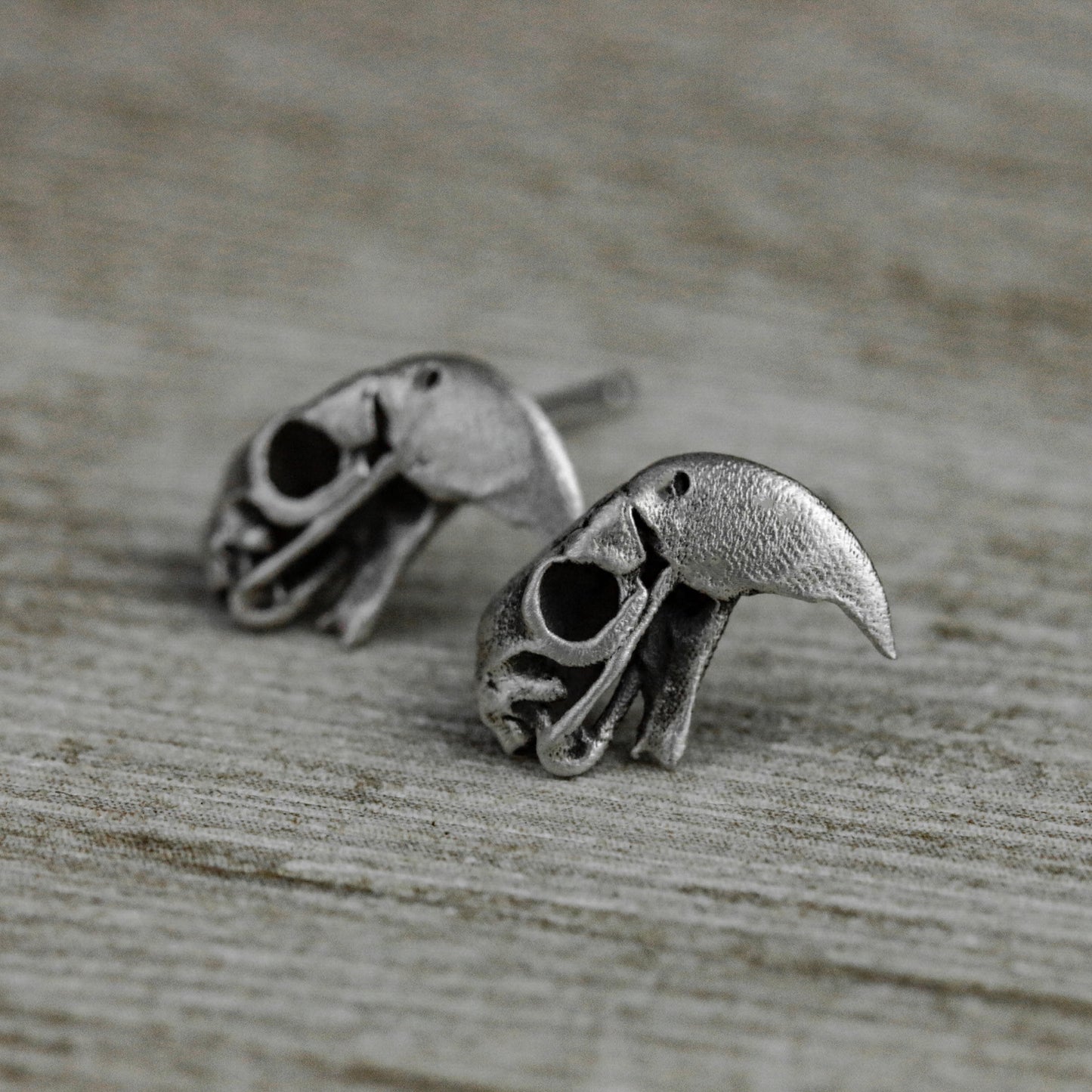 Parrot Skull Earrings - 925 Silver Handmade