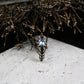 Gothic Sunburst Silver Ring ââ‚?Handmade Dark Fantasy Jewelry with Blue Opal